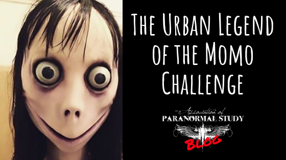 Momo L gende Urbaine Momo Challenge Actualit s UPFV Momo L gende Urbaine Momo Challenge Actualit s UPFV